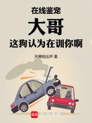 在线鉴宠，大哥这狗认为在训你啊